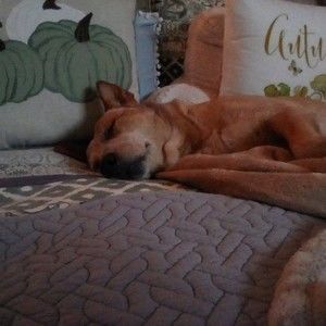 Meet your Posher, Posh